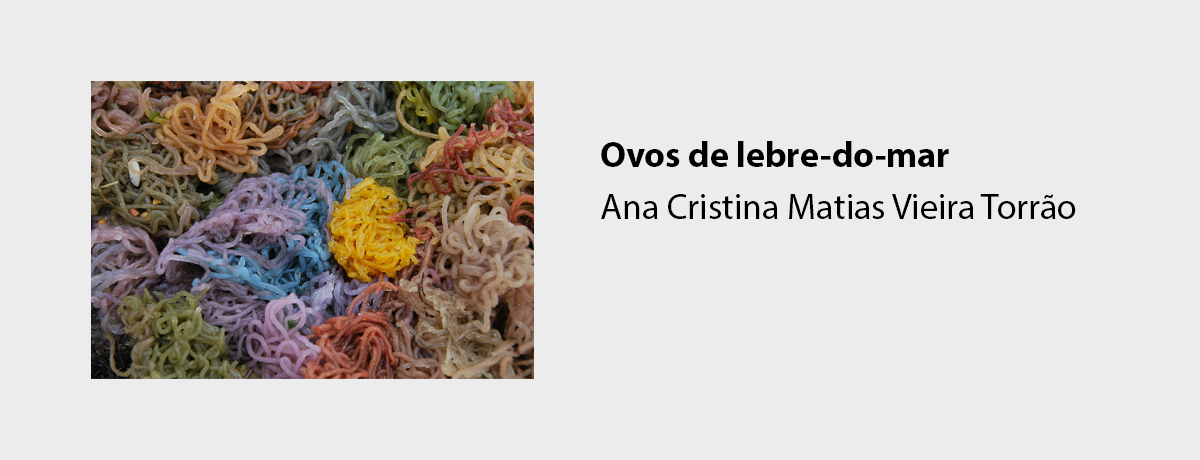 Ovos de lebre-do-mar