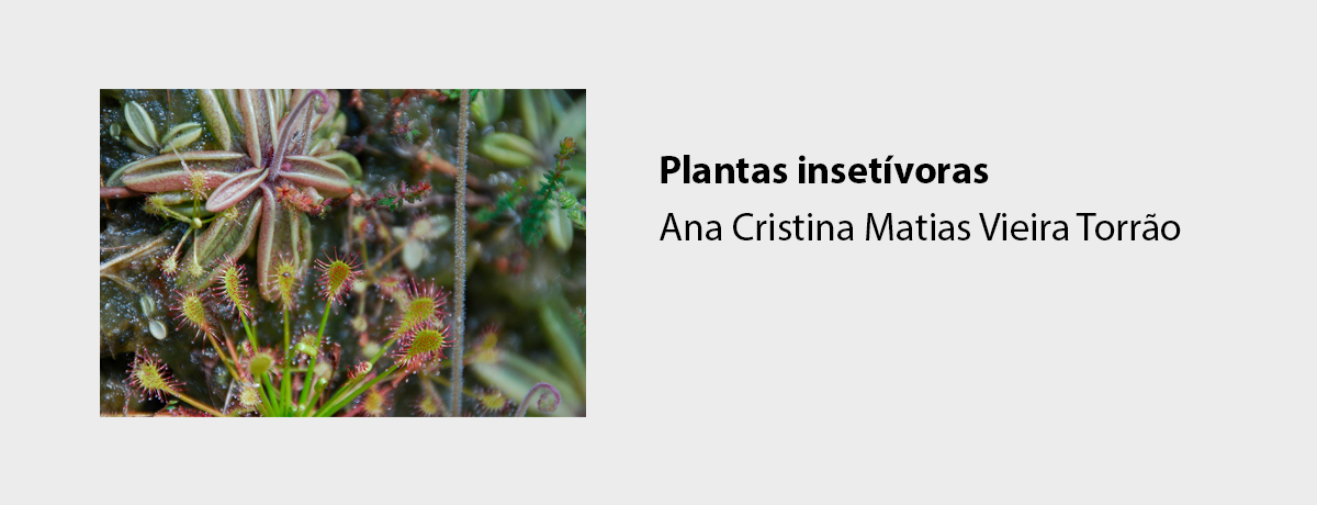 Plantas insetívoras