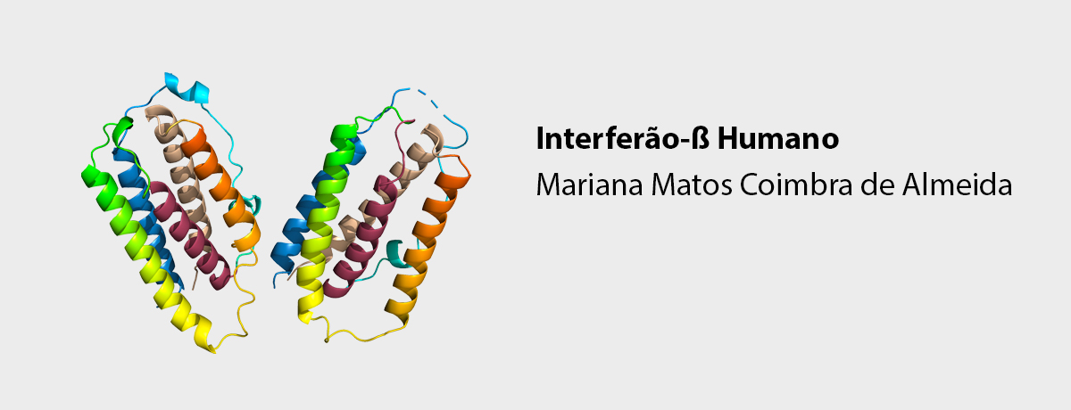 Interferão-ß Humano