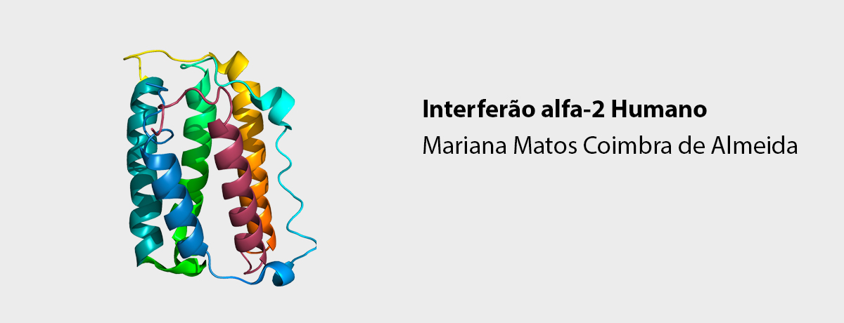 Interferão alfa-2 Humano
