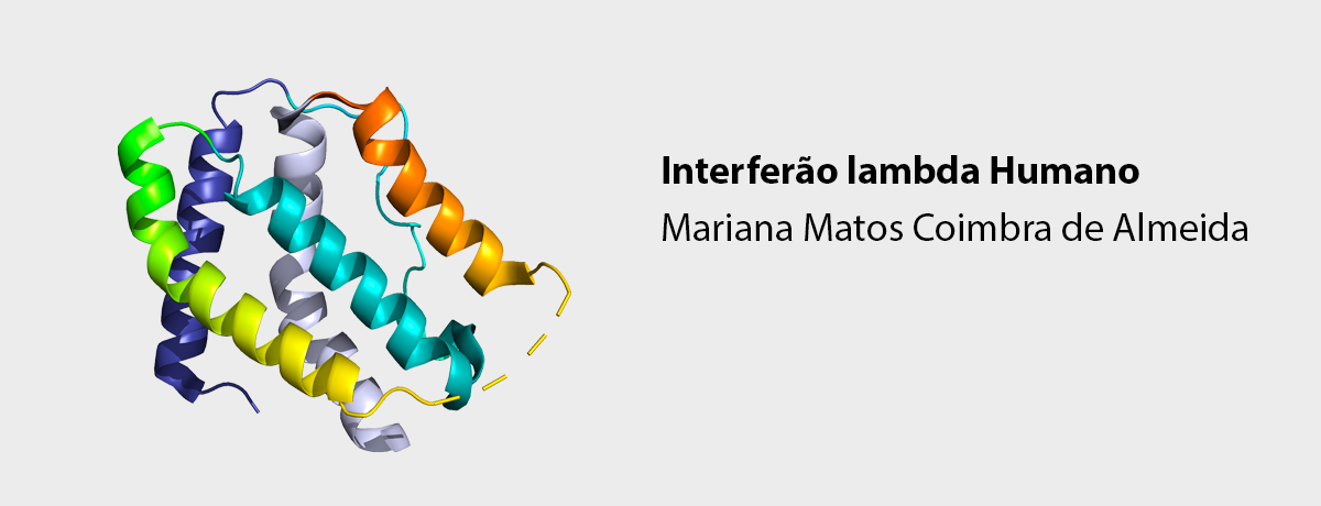 Interferão lambda Humano