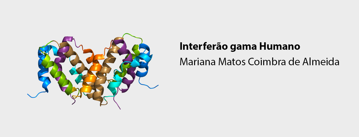 Interferão gama Humano