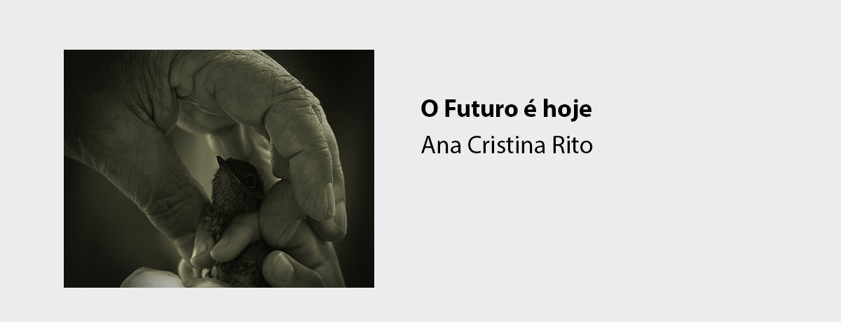 O Futuro é hoje