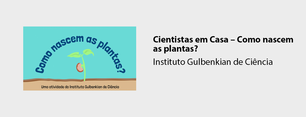 Cientistas em Casa – Como nascem as plantas?