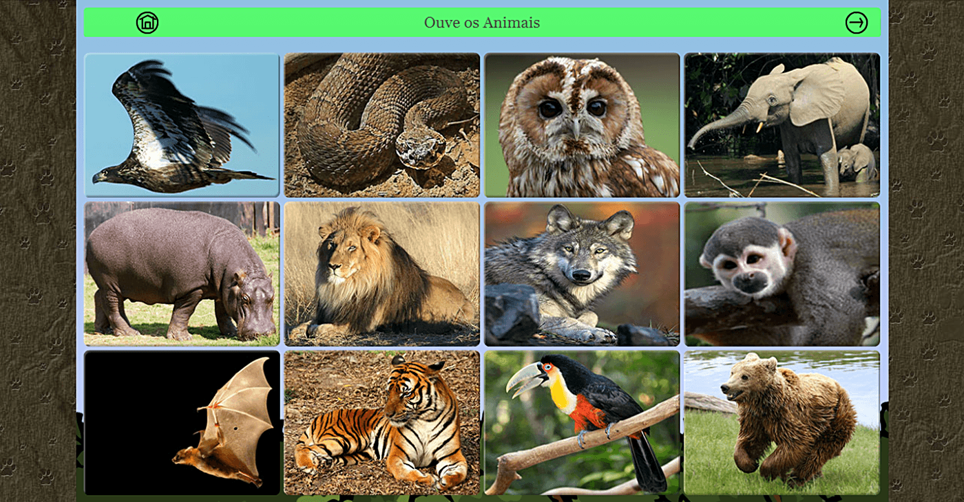 Jogo Online para Crianças com Sons de Animais