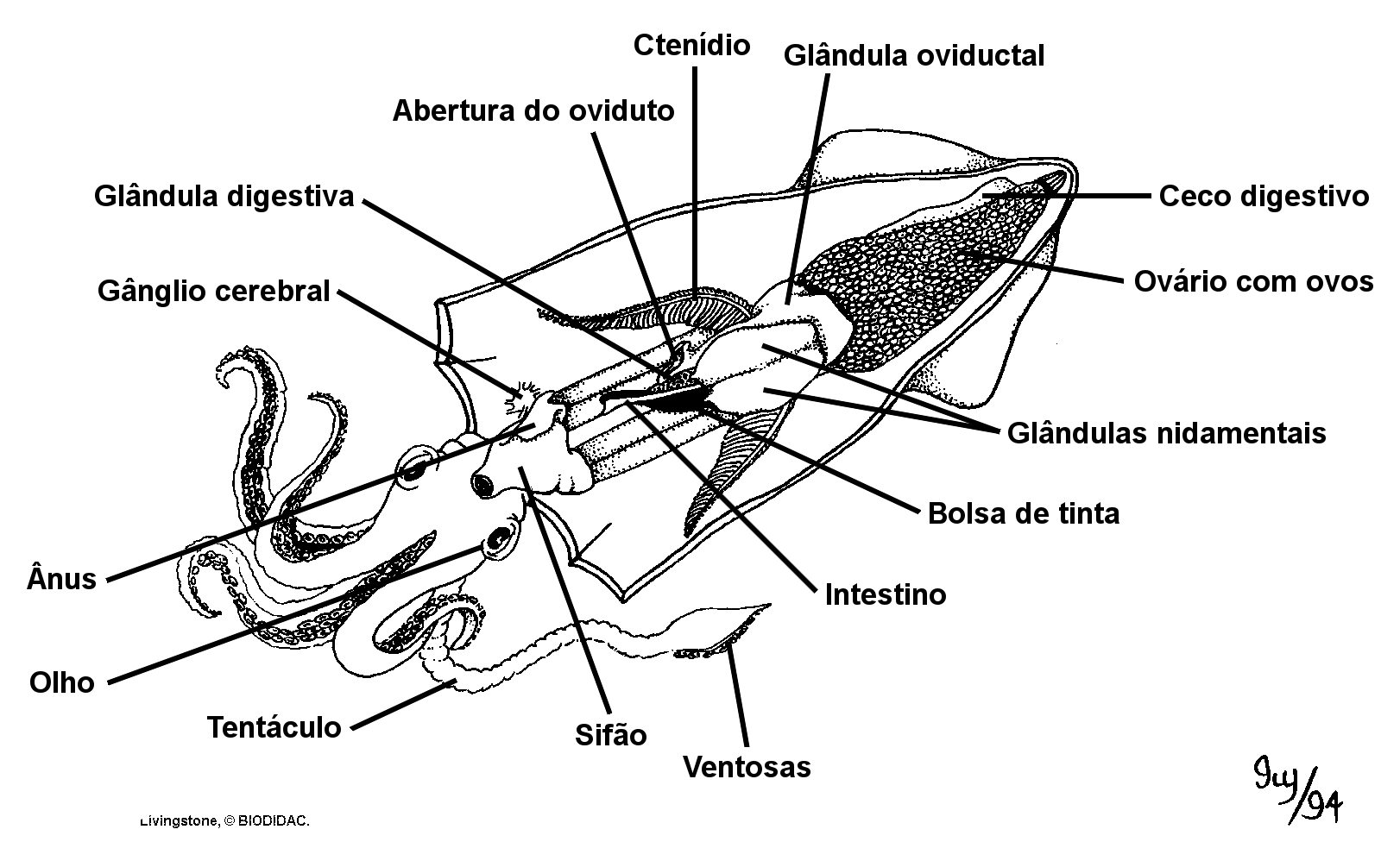 o'que significa casa de apostas