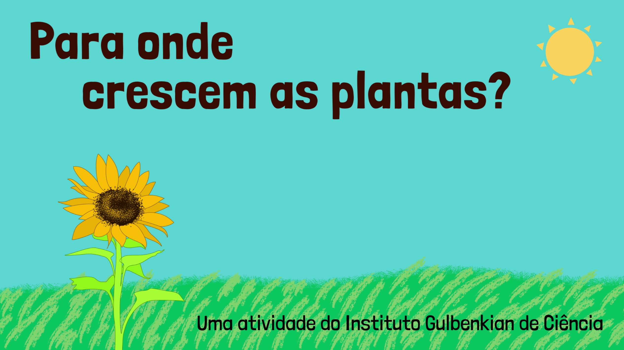 ciências 5º ano matéria e energia da natureza - Εκπαιδευτικές δραστηριότητες